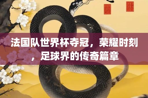 法国队世界杯夺冠，荣耀时刻，足球界的传奇篇章