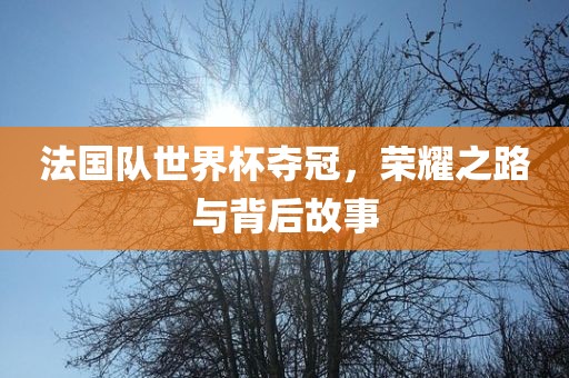 法国队世界杯夺冠，荣耀之路与背后故事