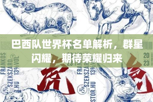 巴西队世界杯名单解析，群星闪耀，期待荣耀归来