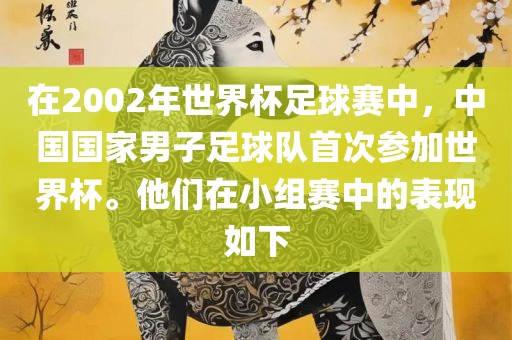 在2002年世界杯足球赛中，中国国家男子足球队首次参加世界杯。他们在小组赛中的表现如下