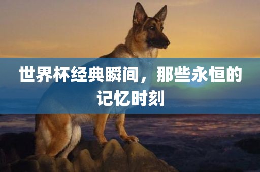 世界杯经典瞬间，那些永恒的记忆时刻