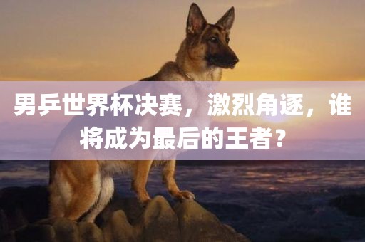 男乒世界杯决赛，激烈角逐，谁将成为最后的王者？