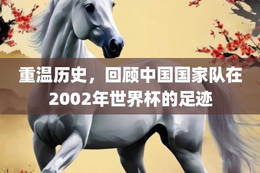 重温历史，回顾中国国家队在2002年世界杯的足迹