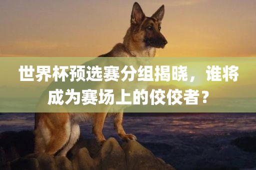 世界杯预选赛分组揭晓，谁将成为赛场上的佼佼者？