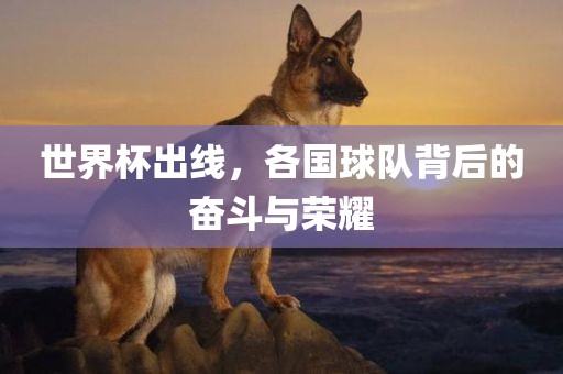 世界杯出线，各国球队背后的奋斗与荣耀