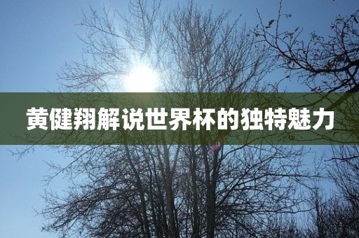 黄健翔解说世界杯的独特魅力洛阳市法福文化传播有限公司