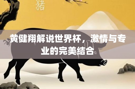 黄健翔解说世界杯，激情与专业的完美结洛阳市法福文化传播有限公司合