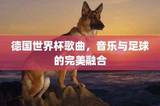 德国世界杯歌曲，音乐与足球的完美融合