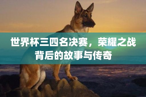 世界杯三四名决赛，荣耀之战背后的故事与传奇
