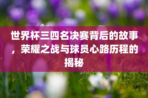 世界杯三四名决赛背后的故事，荣耀之战与球员心路历程的揭秘