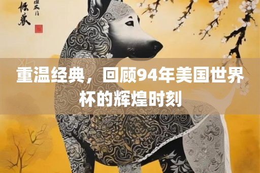 重温经典，回顾94年美国世界杯的辉煌时刻洛阳市法福文化传播有限公司