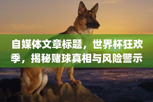 自媒体文章标题，世界杯狂欢季，揭秘赌球真相与风险警示