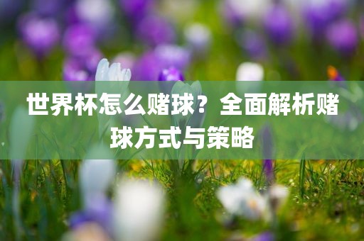 世界杯怎么赌球？全面解析赌球方式与策略