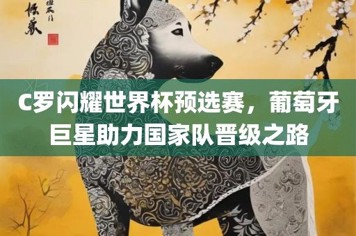 C罗闪耀世界杯预选赛，葡萄牙巨星助力国家队晋级之路