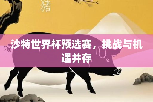 沙特世界杯预选赛，挑战与机遇并存