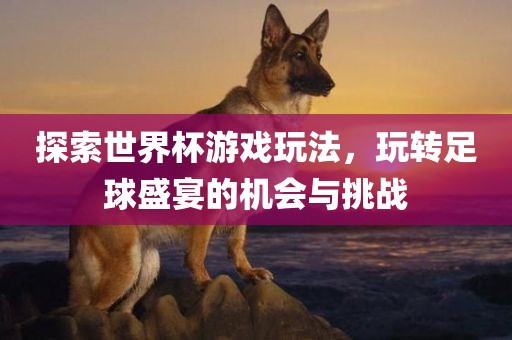 探索世界杯游戏玩法，玩转足球盛宴的机会与挑战洛阳市法福文化传播有限公司