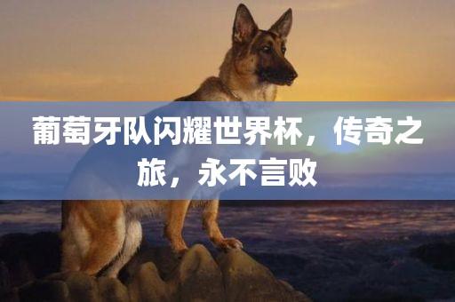 葡萄牙队闪耀世界杯，传奇之旅，永不言败