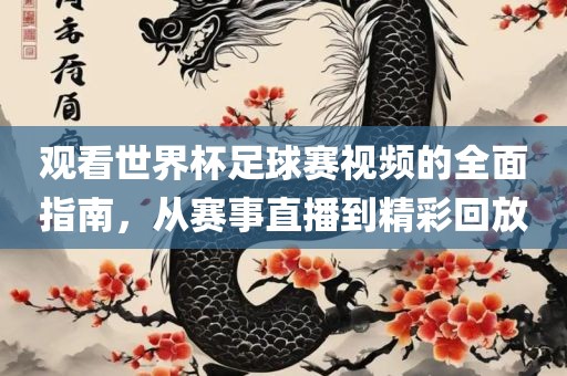 观看世界杯足球赛视频的全面指南，从赛事直播到精彩回放