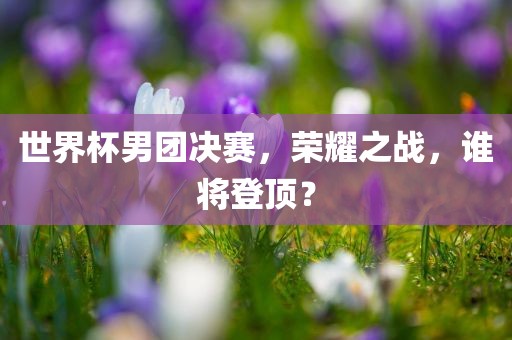 洛阳市法福文化传播有限公司世界杯男团决赛，荣耀之战，谁将登顶？