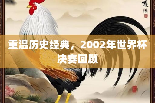 重温历史经典，2002年世界杯决赛回顾