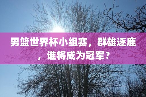 男篮世界杯小组赛，群雄逐鹿，谁将成为冠军？