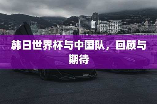 韩日世界杯与中国队，回顾与期待