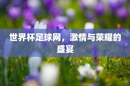 世界杯足球网，激情与荣耀的盛宴
