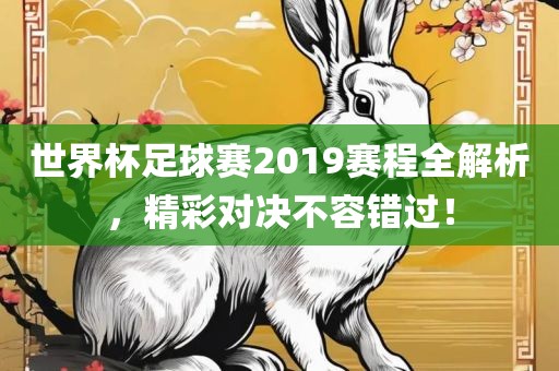 世界杯足球赛2019赛程全解析，精彩对决不容错过！