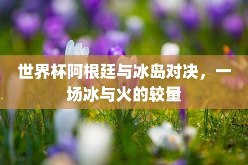 世界杯阿根廷与冰岛对决，一场冰与火的较量