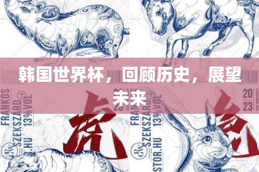 韩国世界杯，回顾历史，展望未来