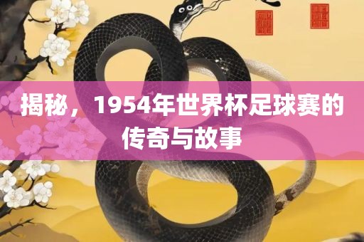 揭秘故事