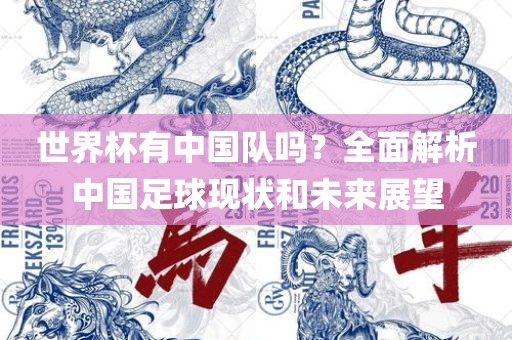 世界杯有中国队吗？全面解析中国足球现状和未来展望