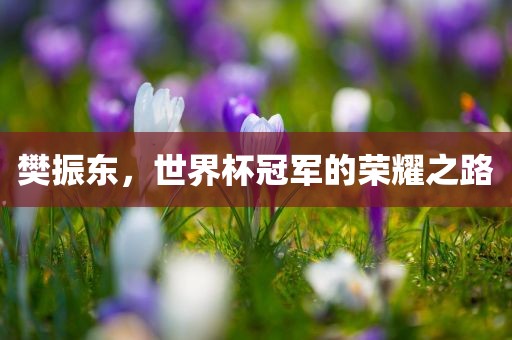 樊振东，世界杯冠军的荣耀之路