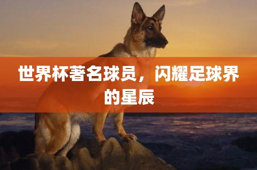 世界杯著名球员，闪耀足球界的星辰洛阳市法福文化传播有限公司