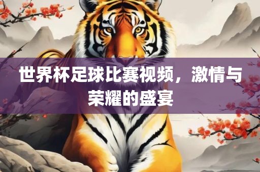 世界杯足球比赛视频，激情与荣耀的盛宴