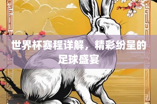 世界杯赛程详解，精彩纷呈的足球盛宴