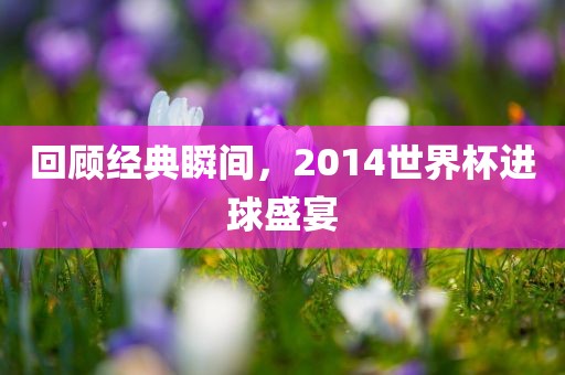 回顾经典瞬间，2014世界杯进球盛宴