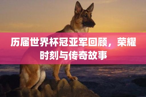历届世界杯冠亚军回顾，荣耀时刻与传奇故事