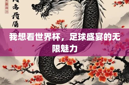 我想看世界杯，足球盛宴的无限魅力
