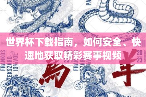 世界杯下载指南，如何安全、快速地获取精彩赛事视频