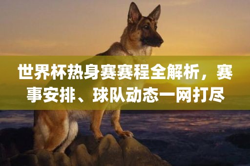 世界杯热身赛赛程全解析，赛事安排、球队动态一网打尽