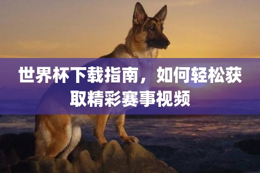 世界杯下载指南，如何轻松获取精彩赛事视频
