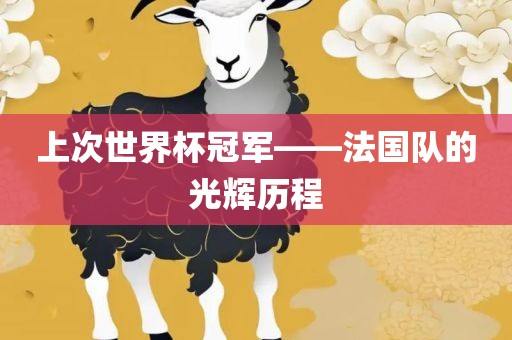 上次世界杯冠军——法国队的光辉历程