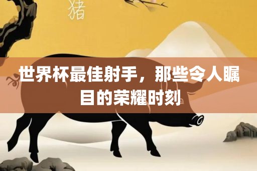 世界杯最佳射手，那些令人瞩目的荣耀时刻