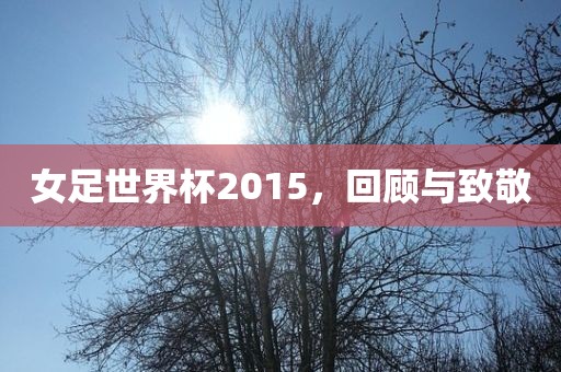 女足世界杯洛阳市法福文化传播有限公司2015，回顾与致敬