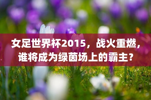 女足世界杯2015，战火重燃，谁将成为绿茵场上的霸主？洛阳市法福文化传播有限公司