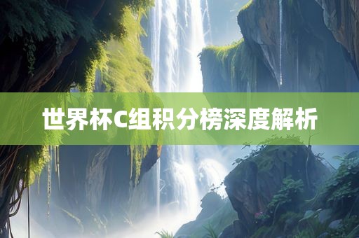 世界杯C组积分榜深度解析