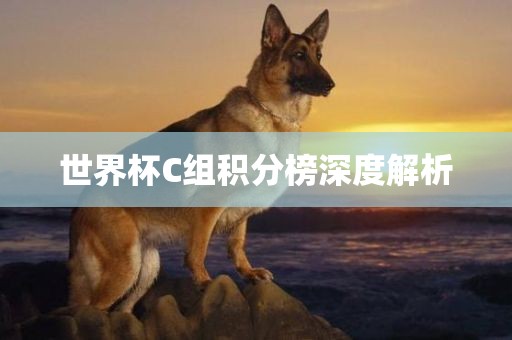 世界杯C组积分榜深度解析
