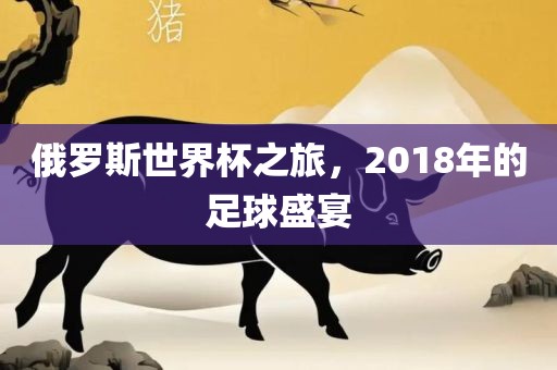 俄罗斯世界杯之旅，2018年的足球盛宴
