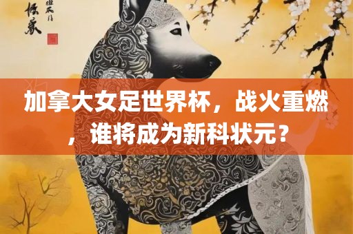 加拿大女足世界杯，战火重燃，谁将成为新科状元？